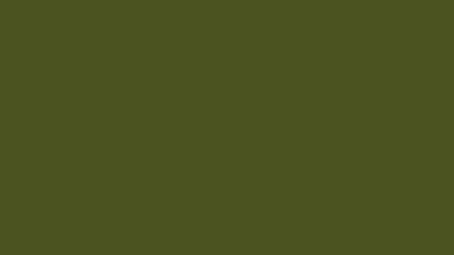 Solid army green background, hex #4B5320, 1920x1080 HD wallpaper