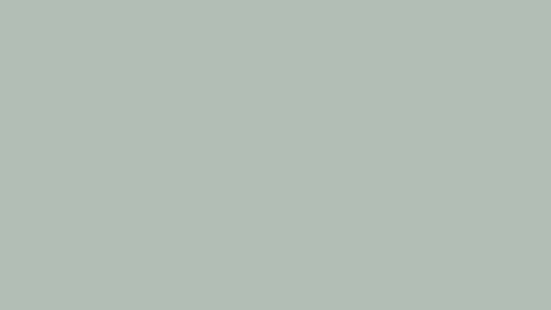 Solid ash gray background, hex #B2BEB5, 1920x1080 HD wallpaper