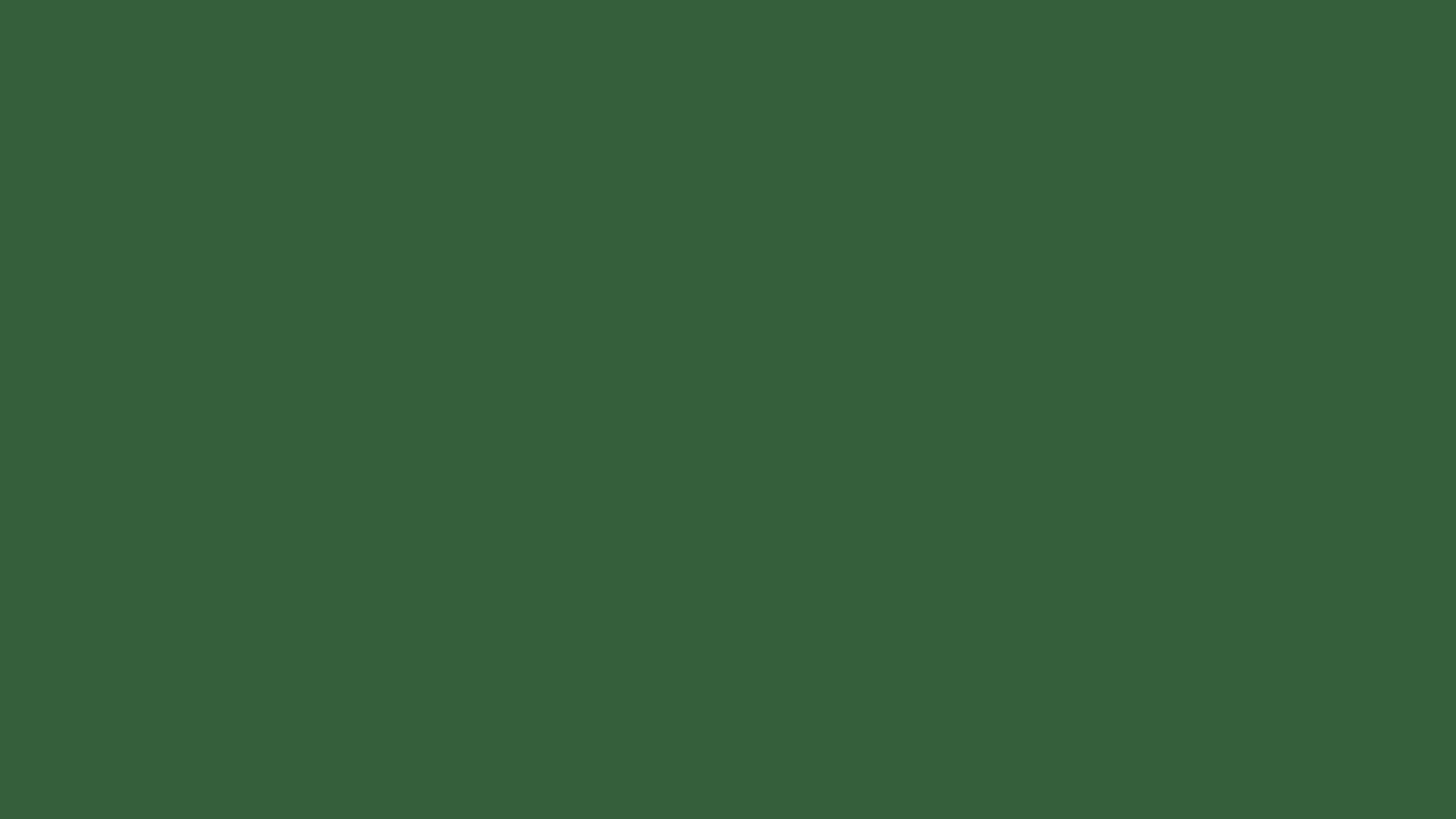 Solid hunter green background, hex #355E3B, 1920x1080 HD wallpaper