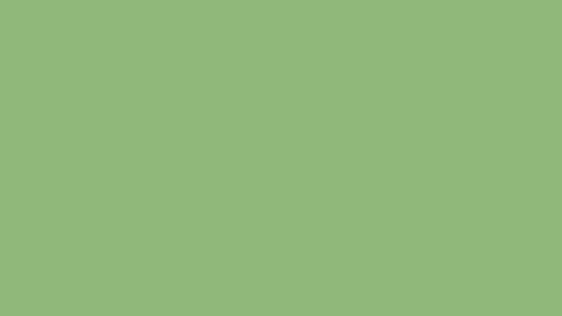 Solid matcha green background, hex #90B87B, 1920x1080 HD wallpaper