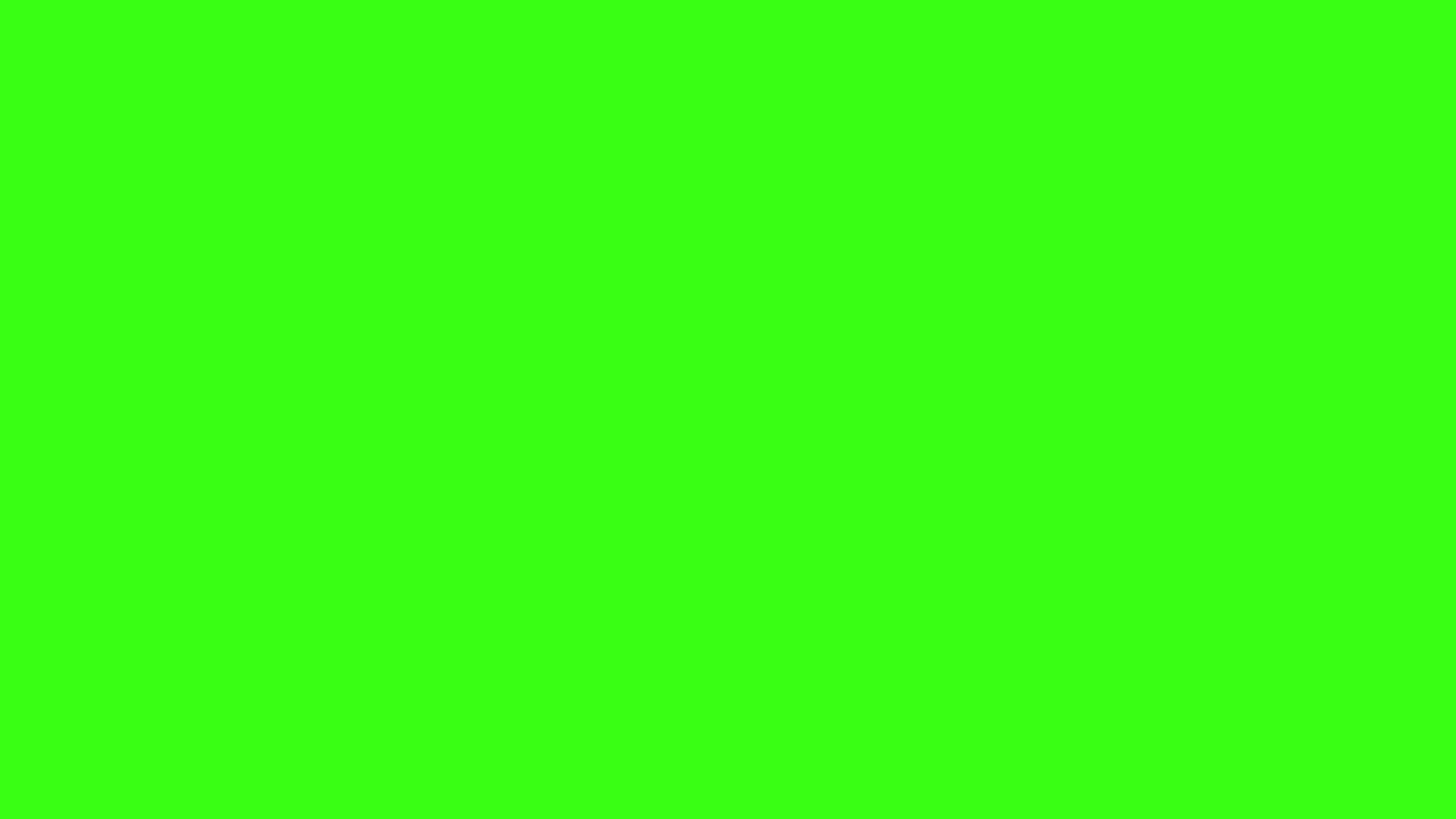 Solid neon green background 2560x1440, hex #39FF14