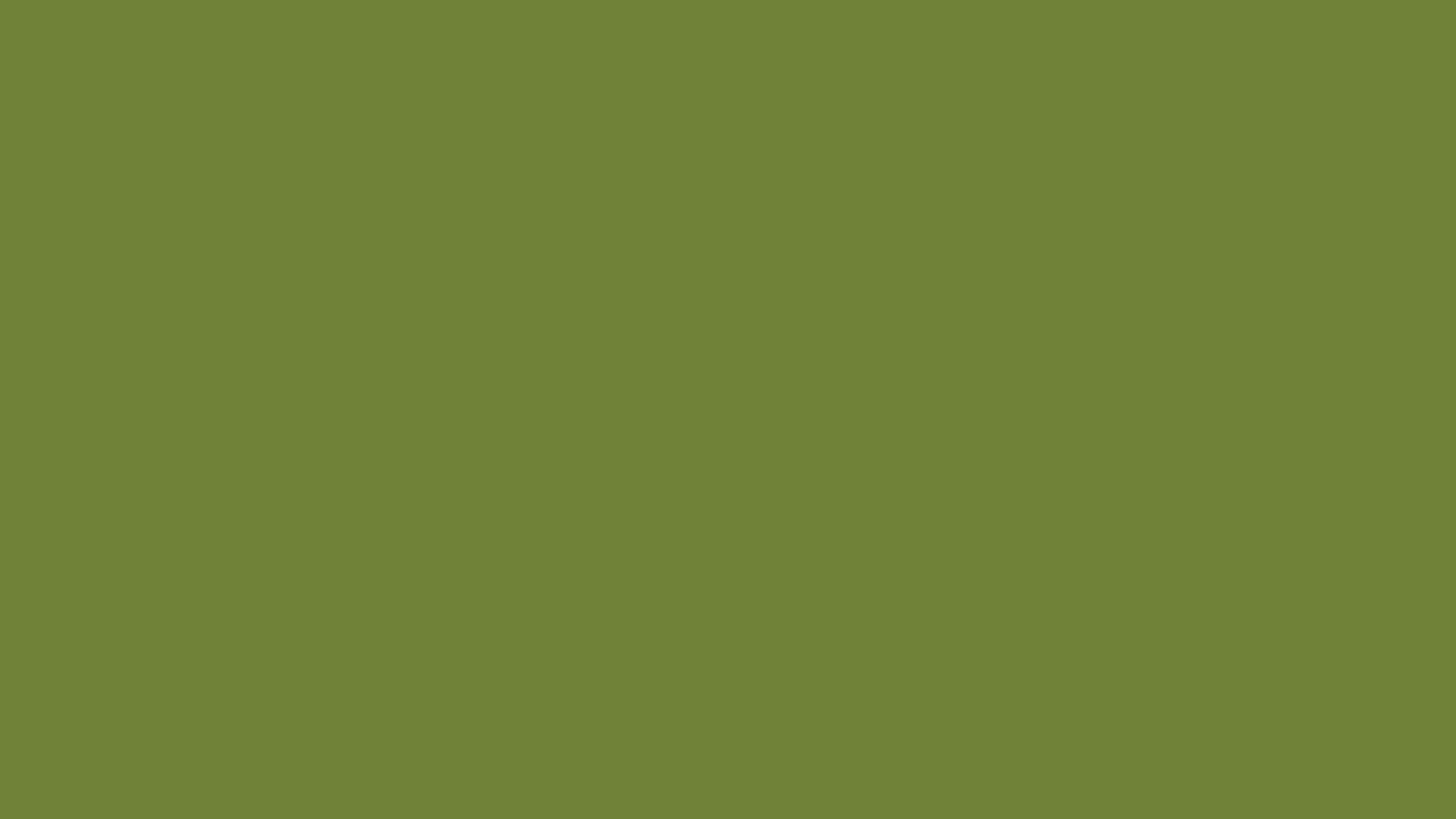 Solid olive green background, hex #708238, 1920x1080 HD wallpaper